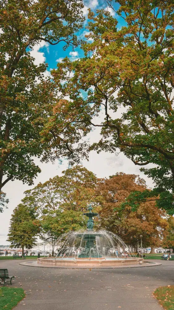 A scenic fountain in Retiro Park Madrid surrounded by autumn trees, representing the mental white space required for professional creativity.